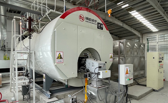WNS Oil/Gas Fired Steam Boiler