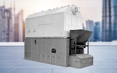 DZL Coal Fired Steam Boiler
